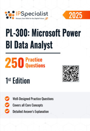 pl-300